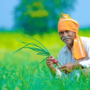 transformation agriculture 4 transformation agriculture 4